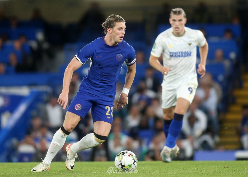 几无悬念 几无悬念